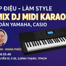 Dịch vụ chép điệu đàn organ Yamaha, Casio