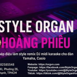 Tổng hợp điệu DJ remix, nhạc đám cưới, karaoke