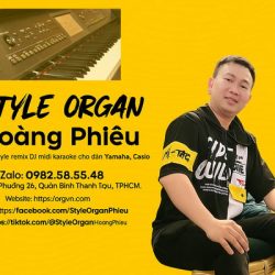Chép điệu organ Yamaha – Casio | Style remix DJ, Midi karaoke độc quyền